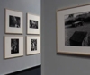 Venezia, Le Stanze della Fotografia inaugurano con Ugo Mulas