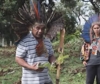 La lotta delle comunitÃ  indigene per salvare il pino brasiliano