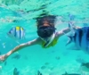 Sharm el Sheik, Nicolaus punta al raddoppio presenze nei resort