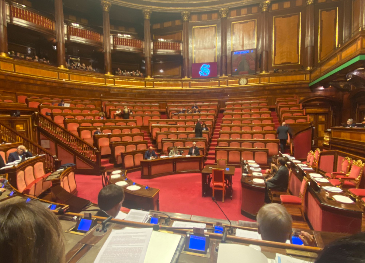 Aula Senato foto presa dal profilo Twitter di Susanna Camusso Aula Senato foto presa dal profilo Twitter di Susanna Camusso