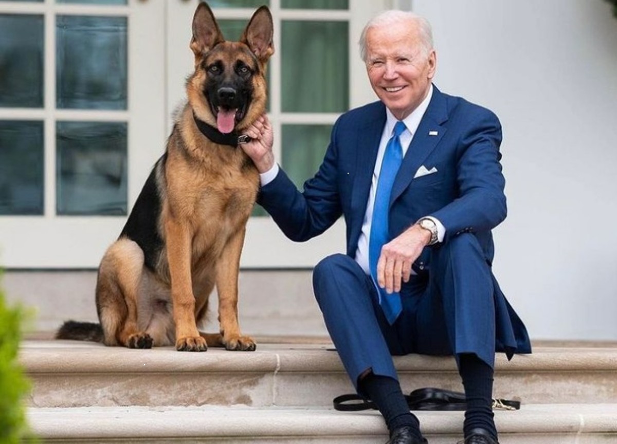 Joe Biden e il cane Commander Joe Biden e il cane Commander