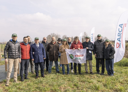 BPER Banca, con Arca Fondi piantumati 750 alberi a Bergamo