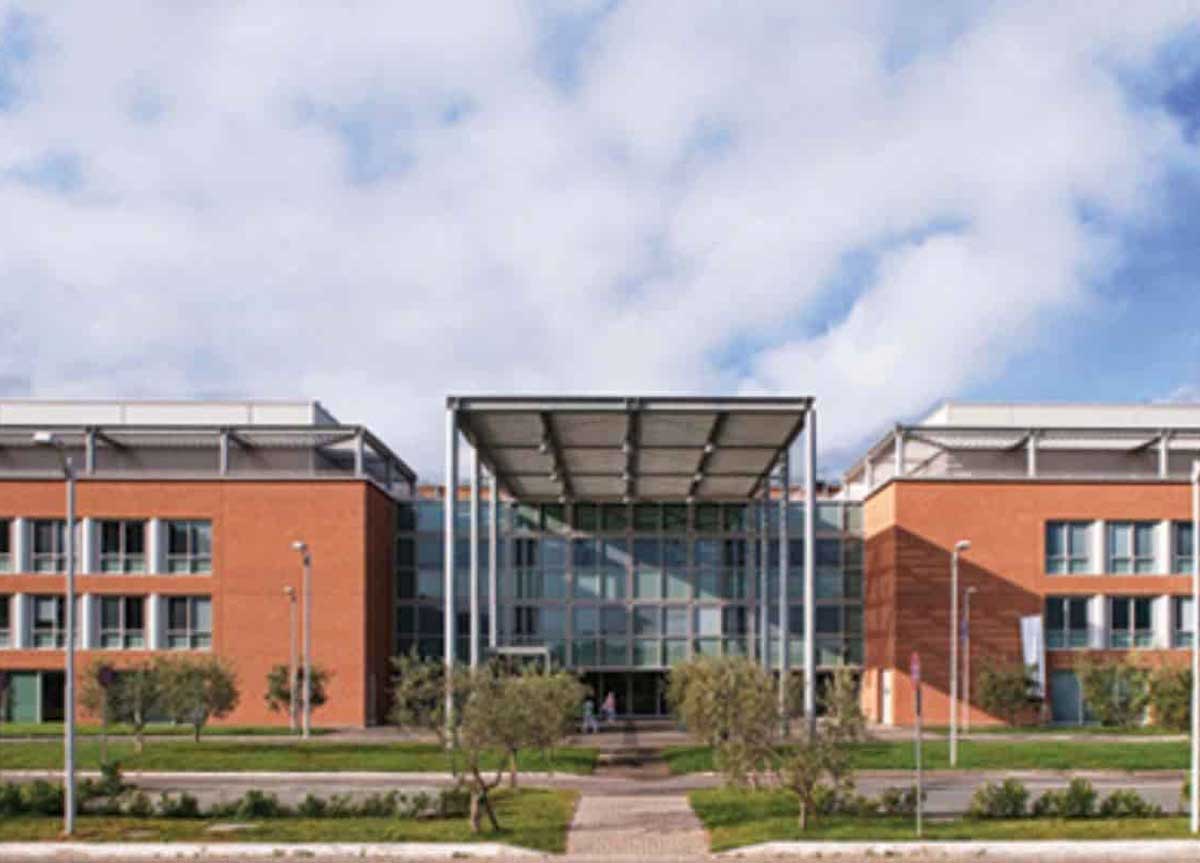Il campus bio medico Il campus bio medico