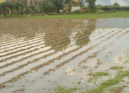 Coldiretti - Maltempo e bombe d'acqua devastano la produzione agricola