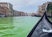 Panico a Venezia, acqua verde fosforescente nel Canal Grande. Ecco perchè