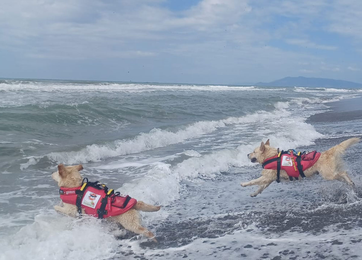 Cani salvataggio Sics a Pescia Romana Cani salvataggio Sics a Pescia Romana