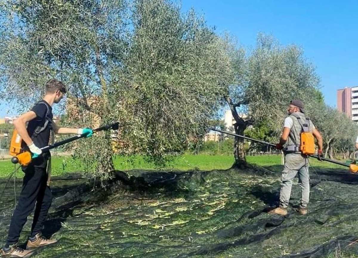 I ragazzi del Garibaldi per la Caritas I ragazzi del Garibaldi per la Caritas