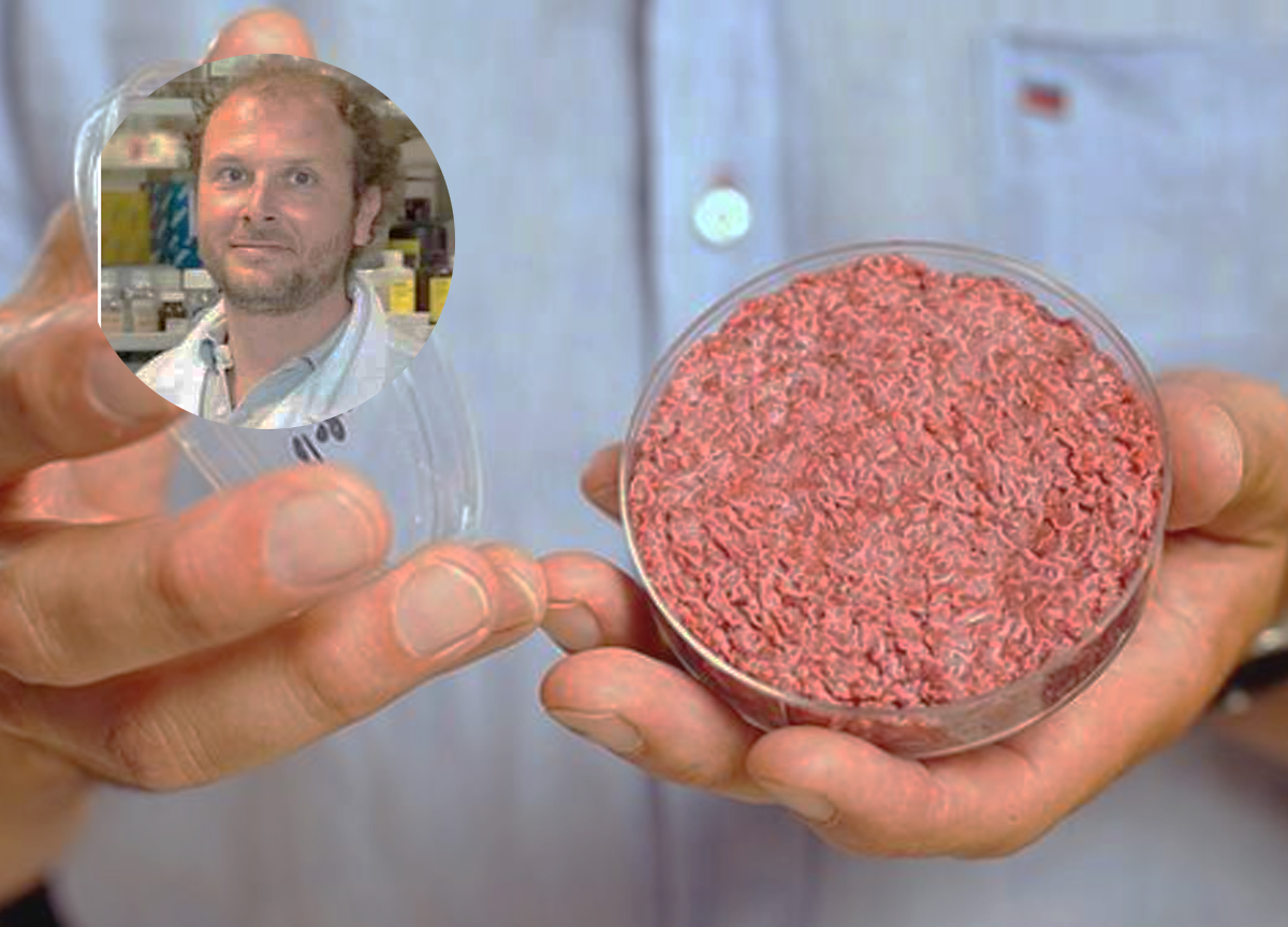 Carne coltivata, nel cerchio il Professor Stefano Augusto Maria Biressi