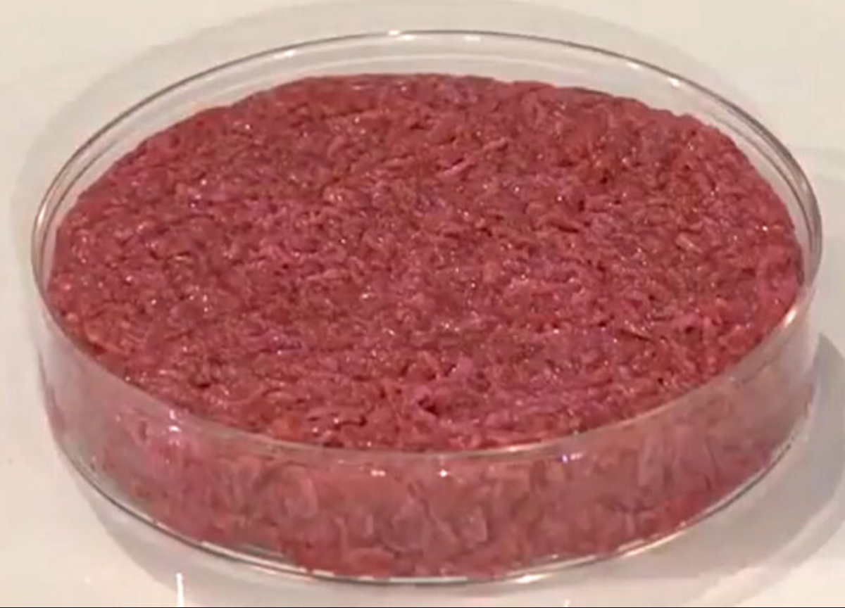 carne coltivata