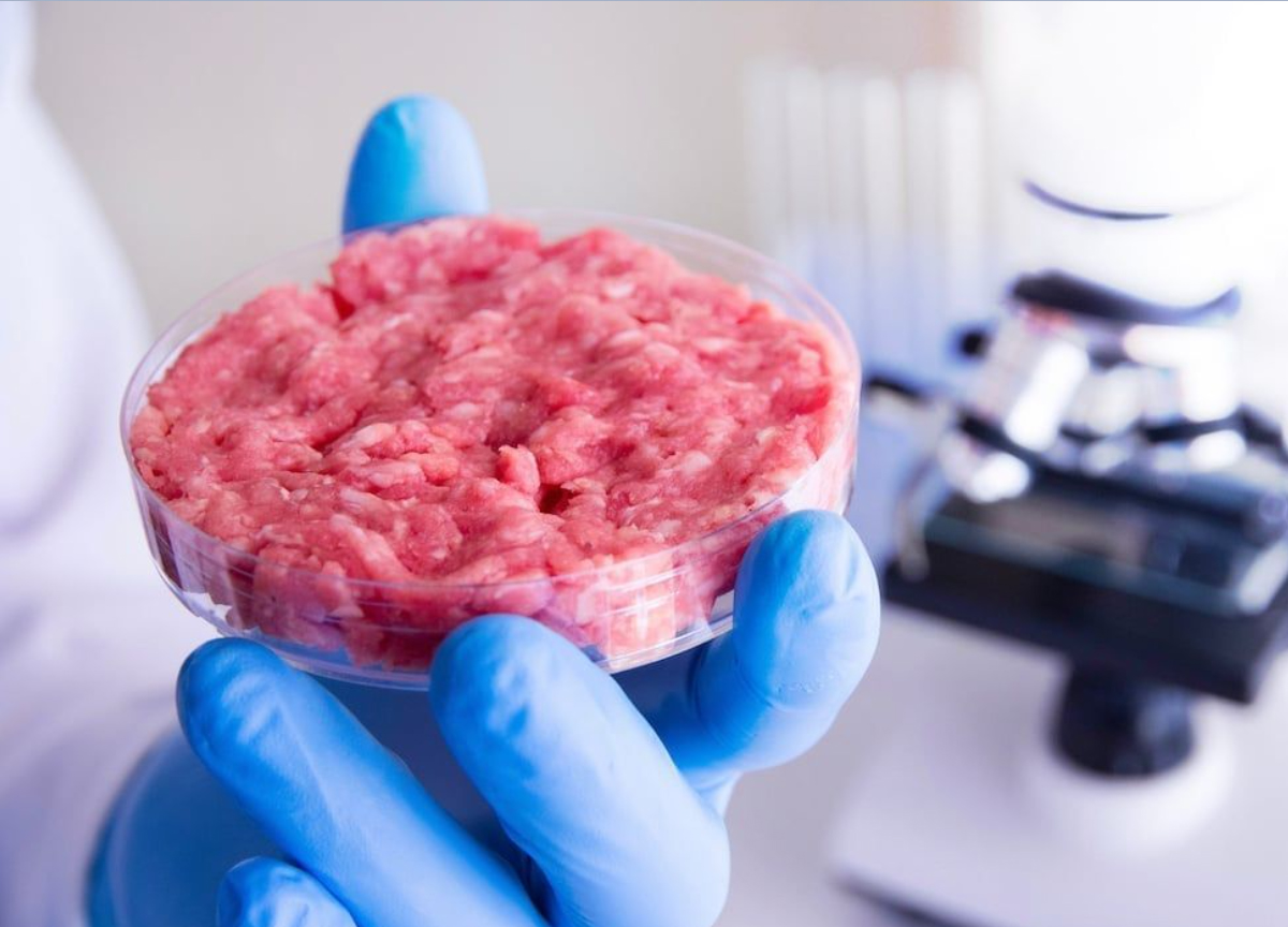Food, from meat crops to fertilizers: breakthrough coming.  What we are going to eat