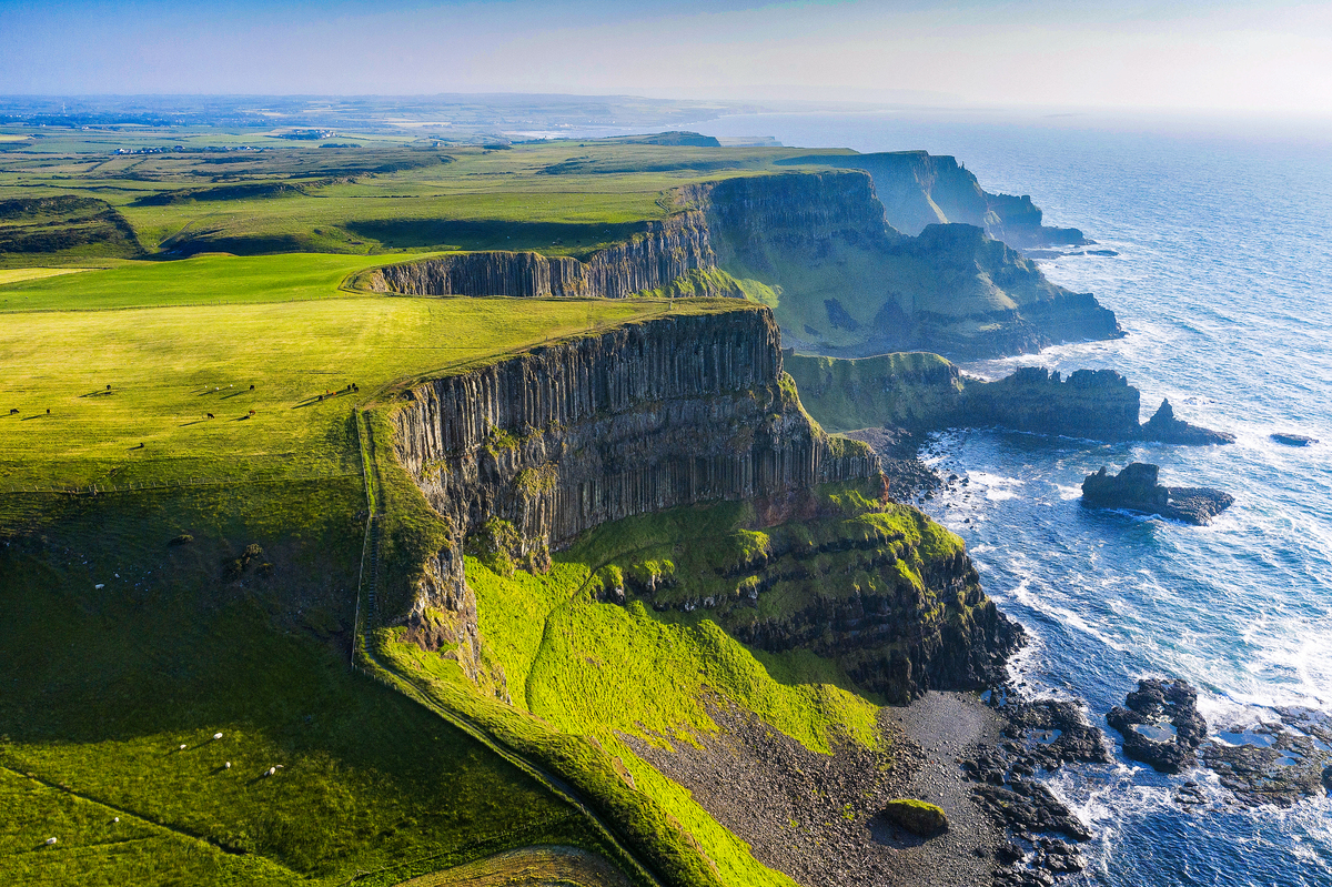  La Ireland Week torna a Milano per raccontare la cultura irlandese  