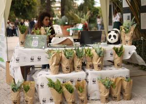 WWF, al via “Urban Nature” per incentivare il verde in città