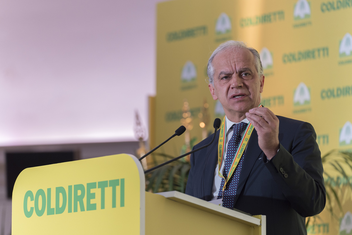 Coldiretti celebra l'eccellenza agroalimentare: 600 mld per il cibo Made in Italy Coldiretti celebra l'eccellenza agroalimentare: 600 mld per il cibo Made in Italy