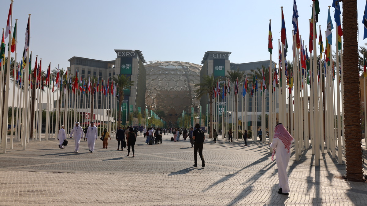 Cop 28 Cop 28