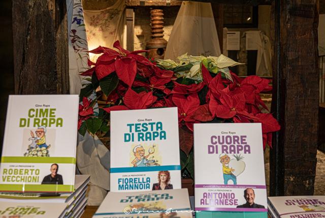gino rapa gino rapa