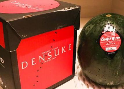 Anche l'anguria diventa di lusso. La Densuke può costare fino a 5000 euro
