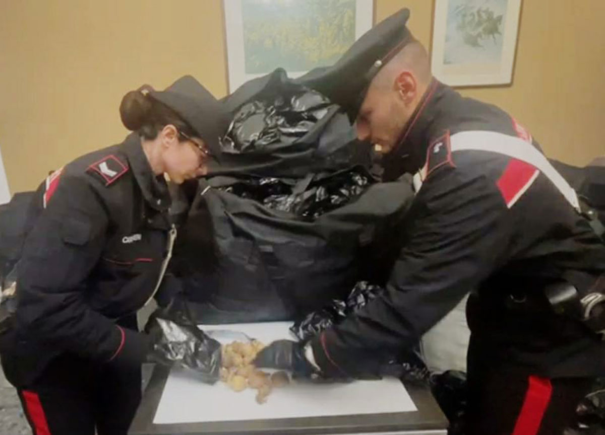 Sequestro droga a Roma Sequestro droga a Roma