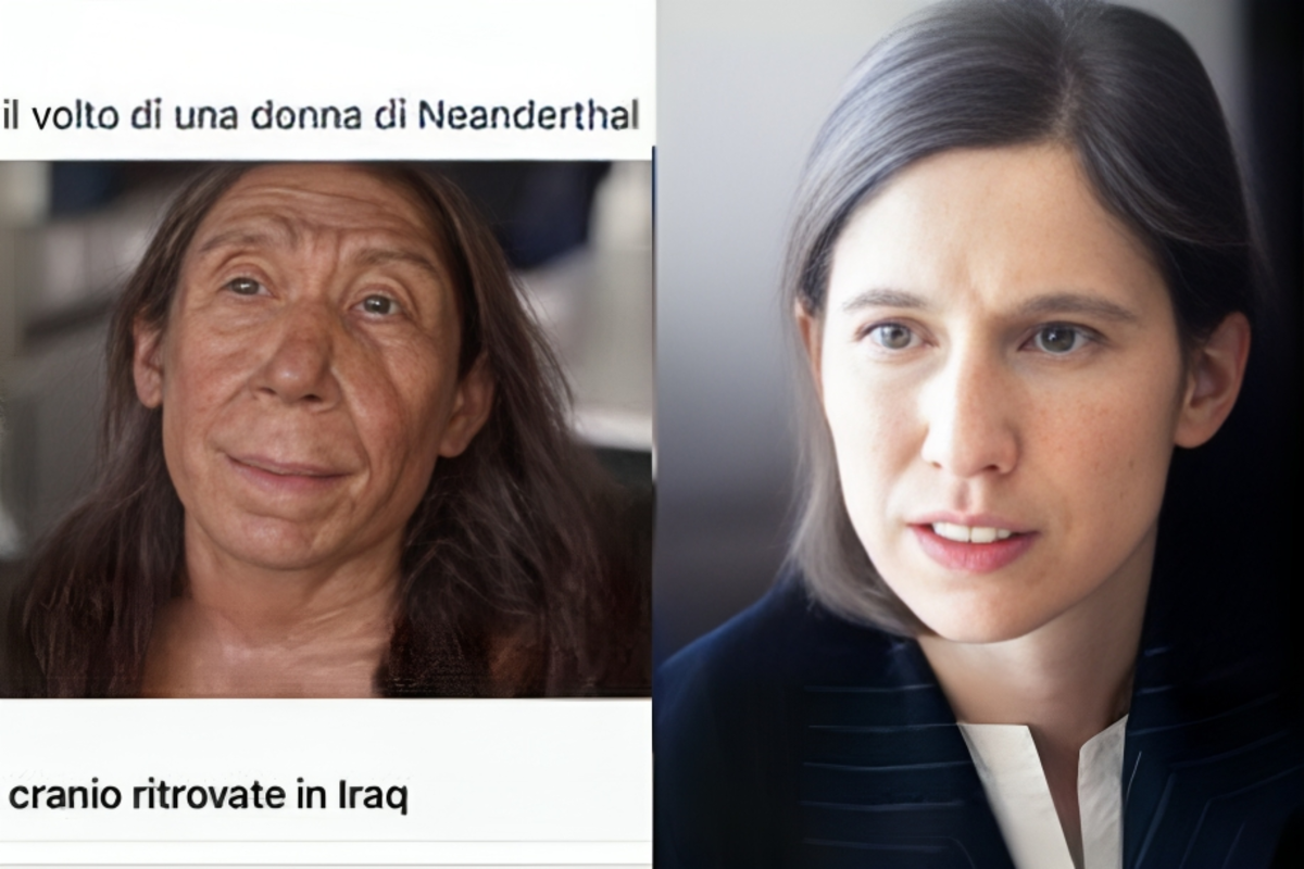 Schlein compared to a Neanderthal woman, storm over an FdI manager