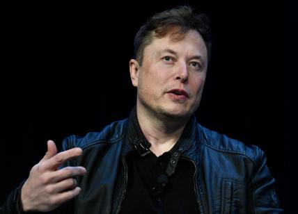 Musk avvisa l'Italia sulle poche nascite: "Così scomparve l'Impero Romano"