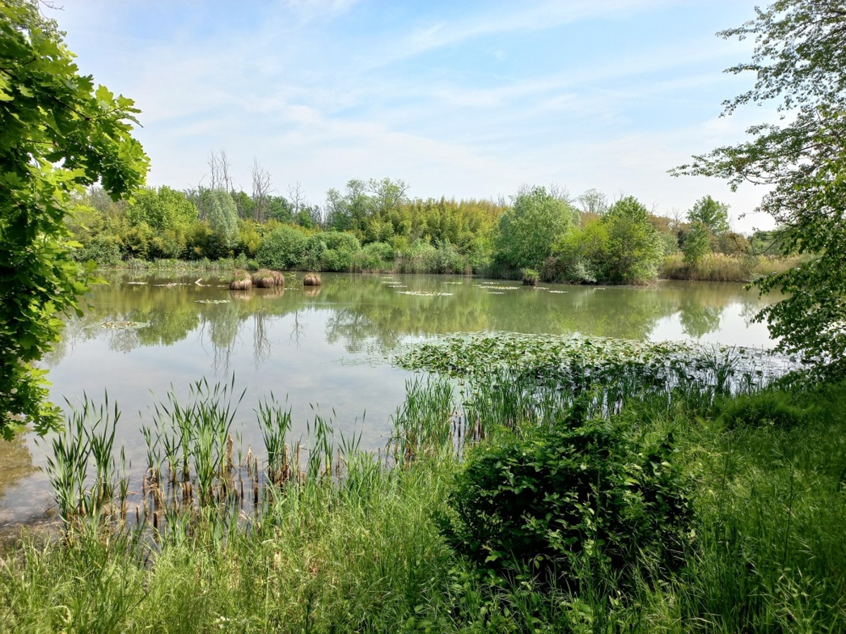 Sostenibilità ambientale, BPER Banca dona 110mila euro a WWF Italia Sostenibilità ambientale, BPER Banca dona 110mila euro a WWF Italia