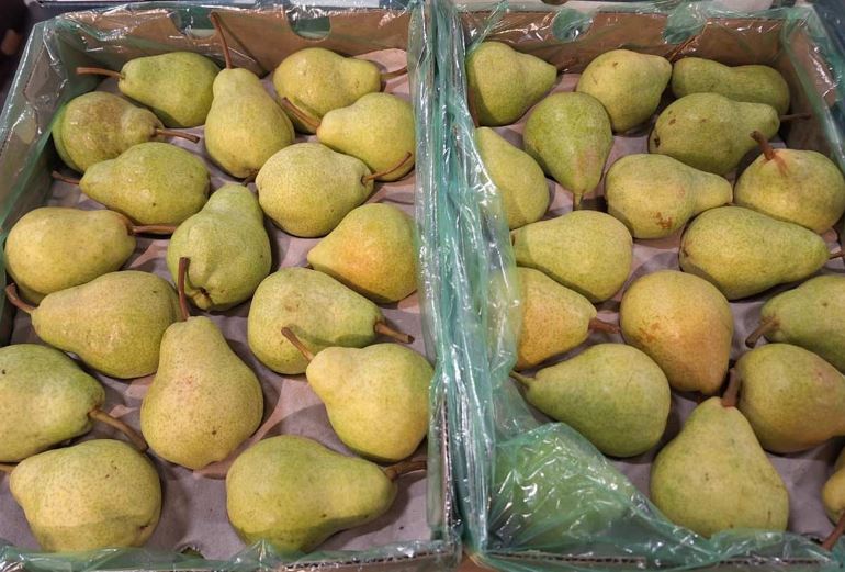 Pere Williams calibro 70/75 - Origine Sudafrica - 1,60/1,80 euro al chilogrammo
