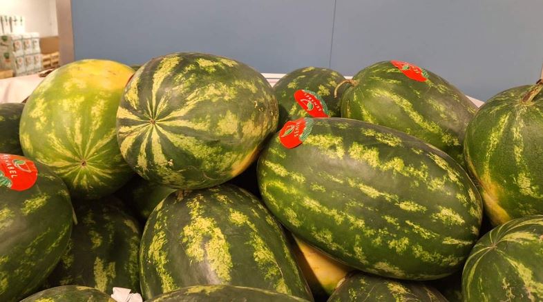 Angurie - origine Mauritania - 1,80 euro al chilogrammo