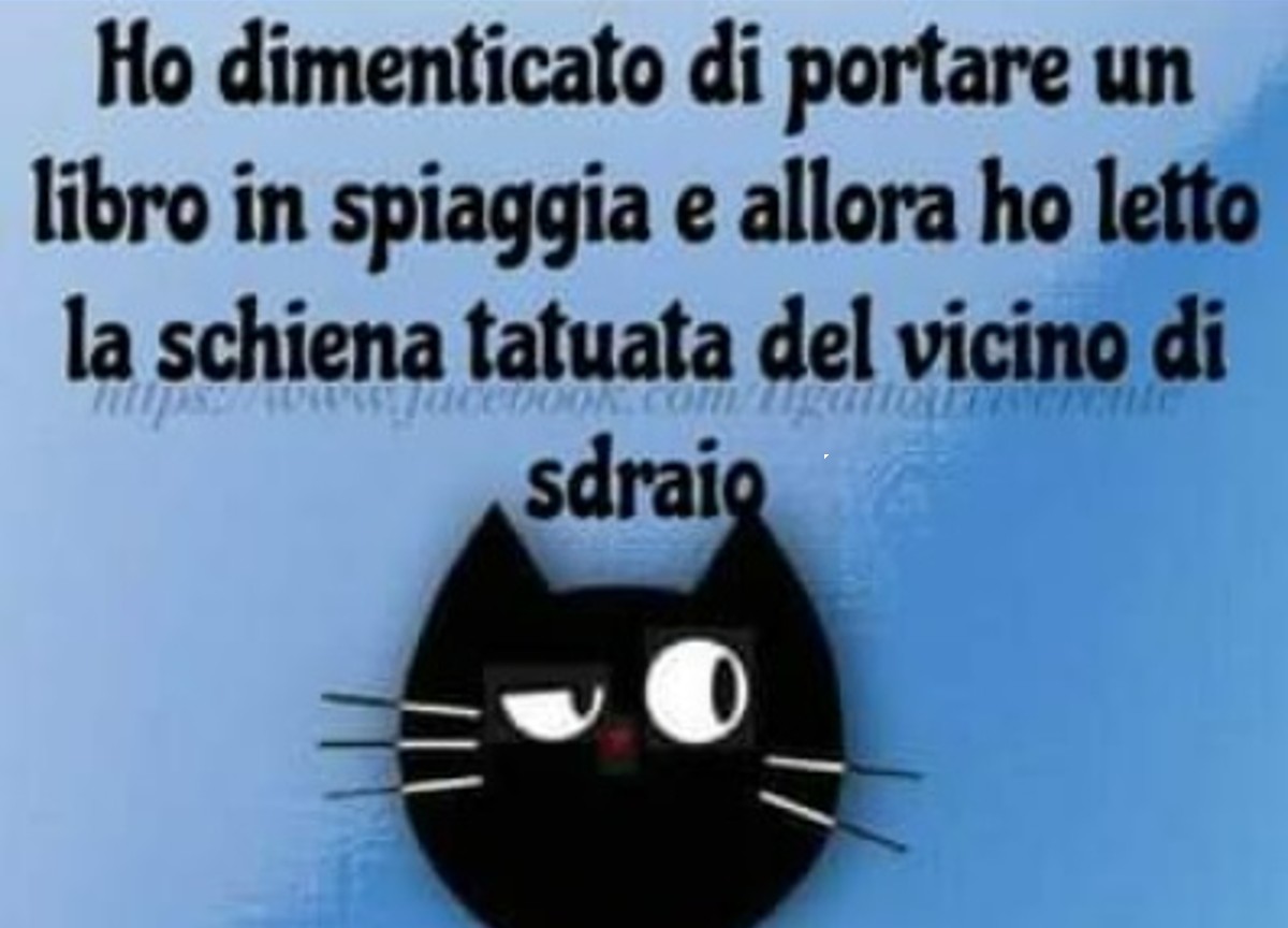 Vignetta Gatto Irriverente