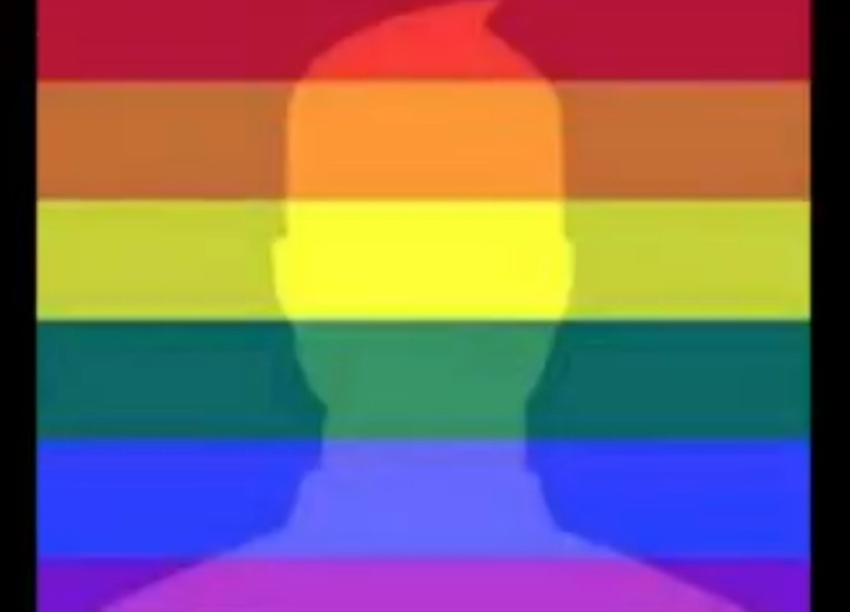 Gay-pride. Integrazione o business Gay-pride. Integrazione o business