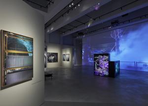 Gallerie D'Italia, apre al pubblico la mostra "Luca Locatelli. The Circle"
