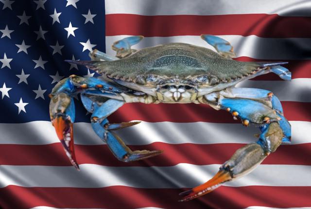 Granchio Blu in USA Granchio Blu in USA