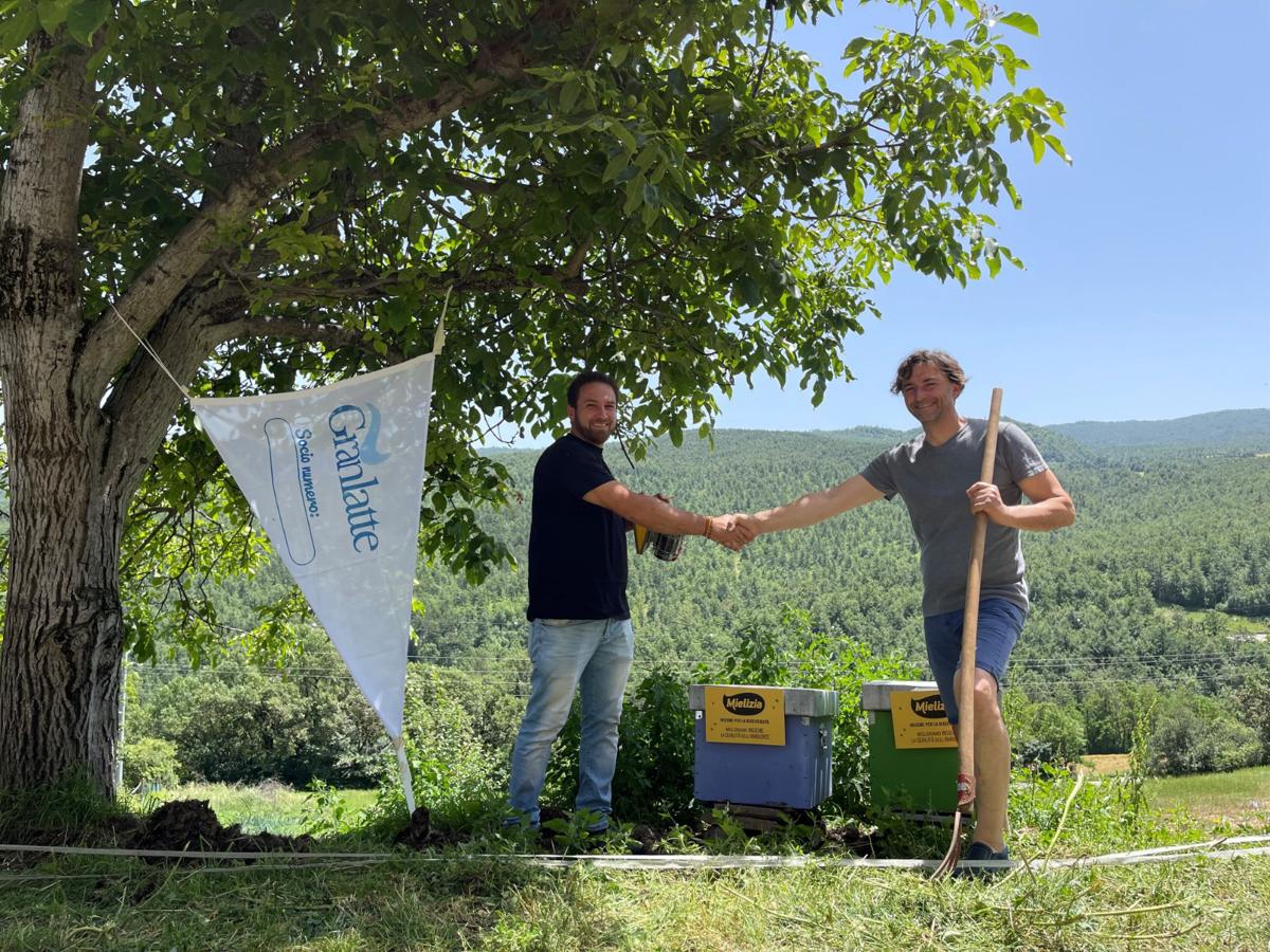 Granarolo è la prima azienda ‘Approved By Conapi Bees’ Granarolo è la prima azienda ‘Approved By Conapi Bees’