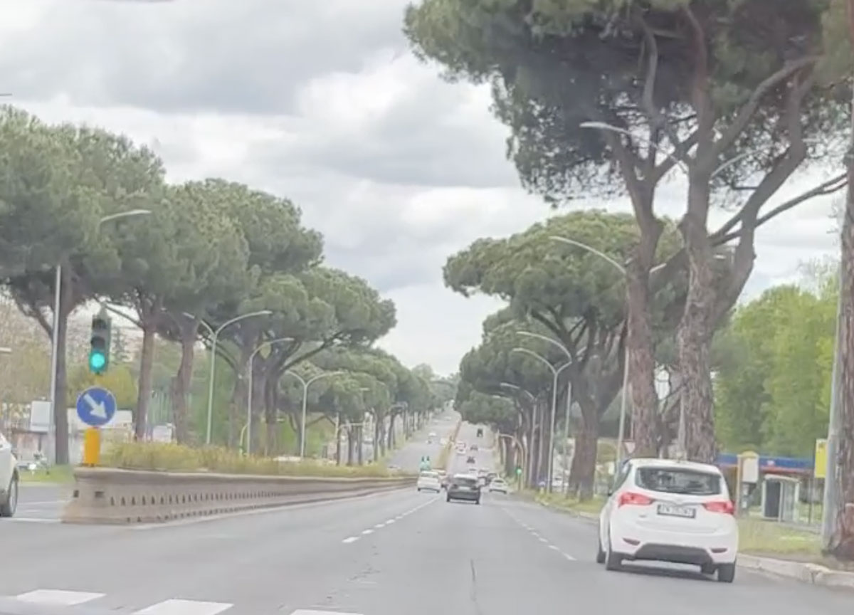 Il video di Brian Ray dei Queen sui pini di Roma Il video di Brian Ray dei Queen sui pini di Roma