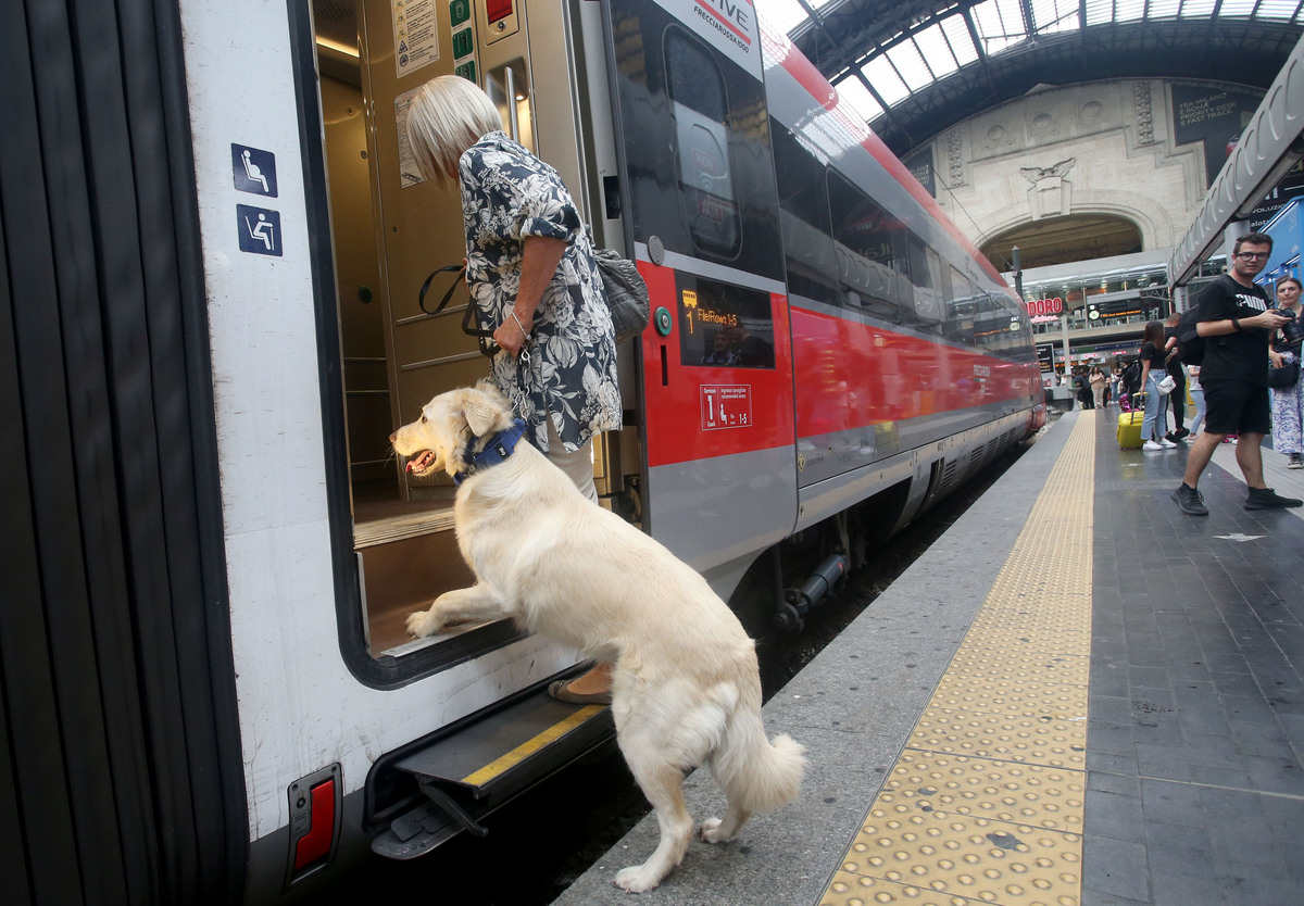 Trenitalia e LEIDAA, torna l’iniziativa contro l’abbandono degli animali