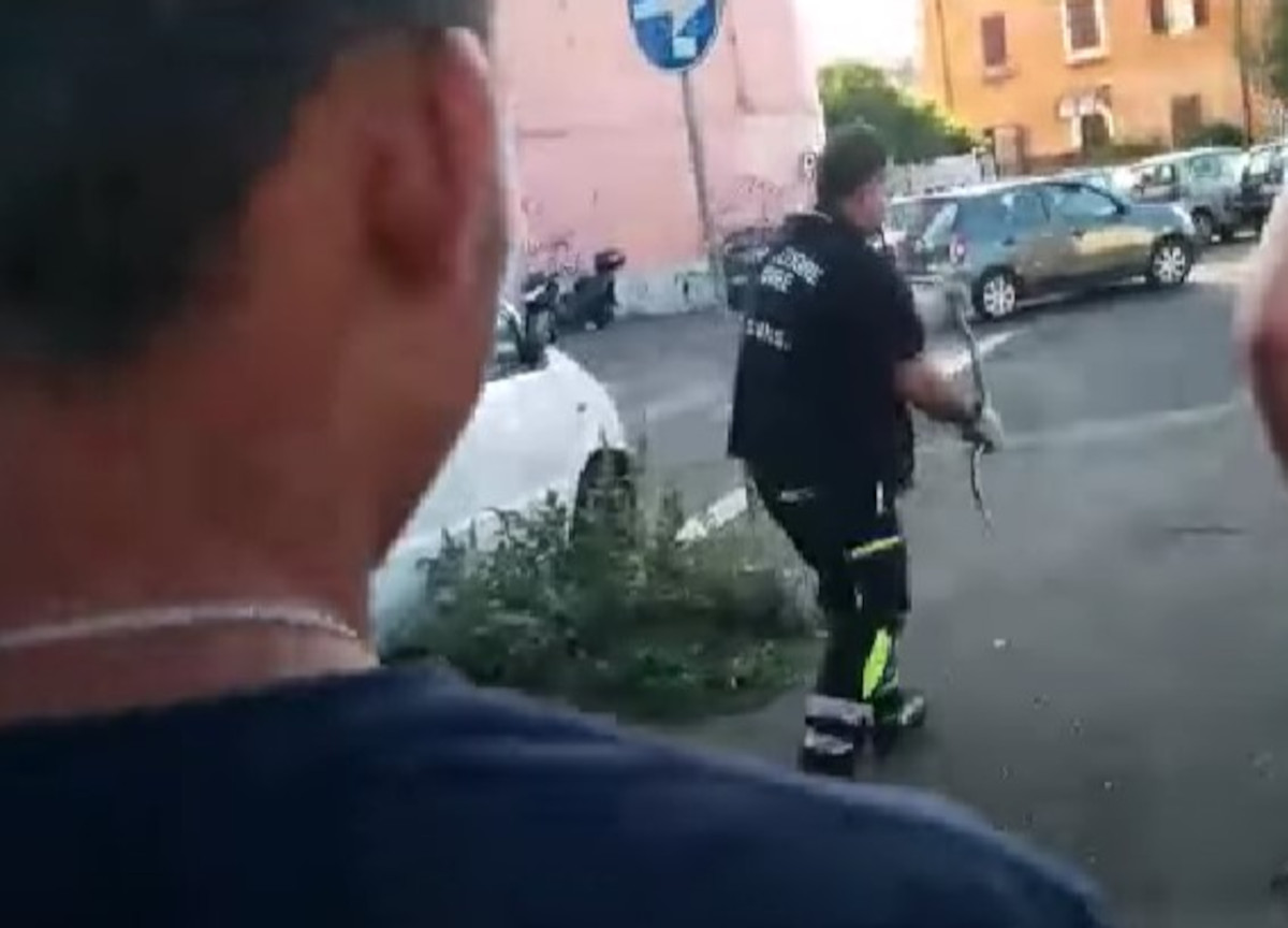 Serpente a Roma Serpente a Roma