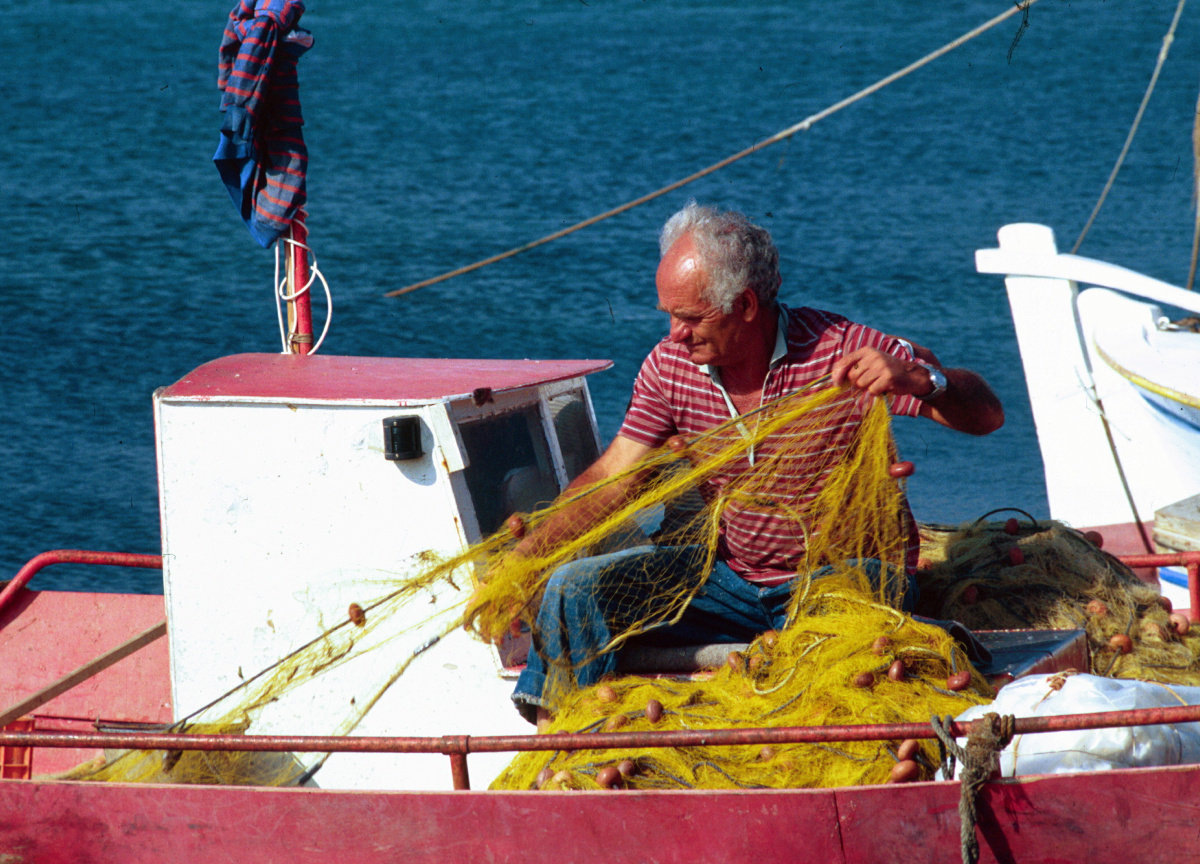 Pesca nel Mediterraneo Pesca nel Mediterraneo