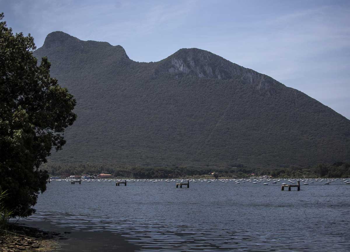Il lago di Sabaudia Il lago di Sabaudia