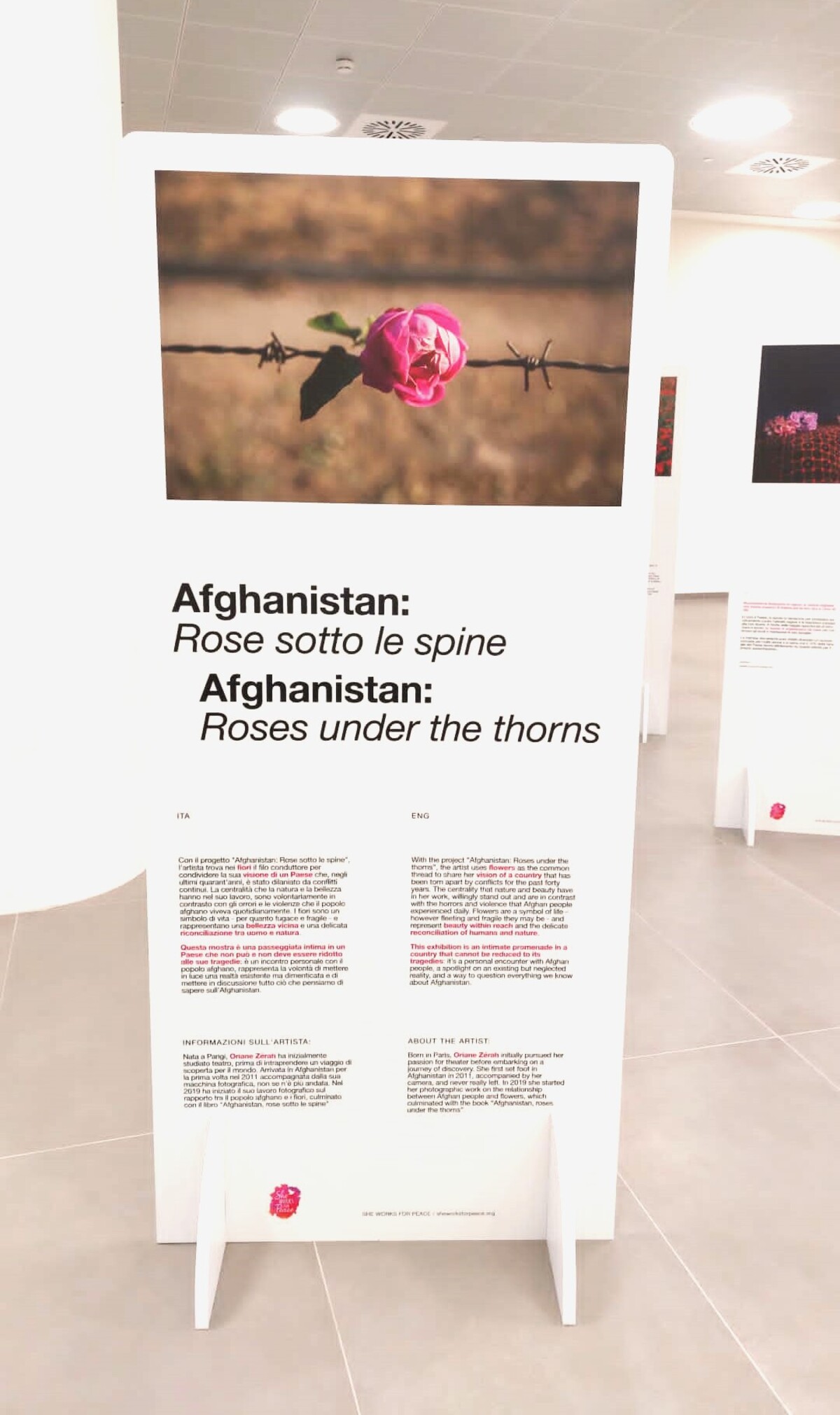 SEA, inaugurata a Linate la mostra "Afghanistan: Rose sotto le Spine" SEA, inaugurata a Linate la mostra "Afghanistan: Rose sotto le Spine"