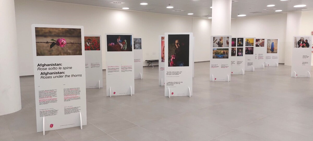 SEA, inaugurata a Linate la mostra "Afghanistan: Rose sotto le Spine" SEA, inaugurata a Linate la mostra "Afghanistan: Rose sotto le Spine"