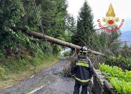 Maltempo: pioggia e vento forte in Lombardia, 300 interventi vigili fuoco