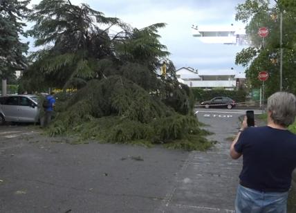 Emergenza meteo in Molise: venti a 140 km/h, scuole chiuse e strade bloccate