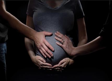 Utero in affitto, negli Usa catalogo per scegliere il figlio da 140mila euro