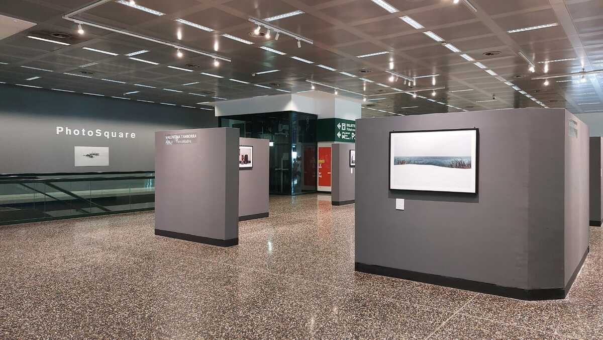 A Malpensa il racconto dell’Artico con la mostra di Valentina Tamborra A Malpensa il racconto dell’Artico con la mostra di Valentina Tamborra