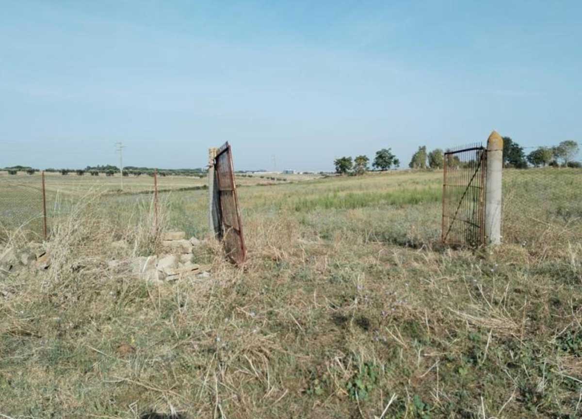 Mucche uccise Istituto Agrario Roma Mucche uccise Istituto Agrario Roma
