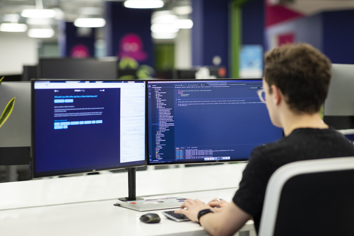 Octopus Energy developer