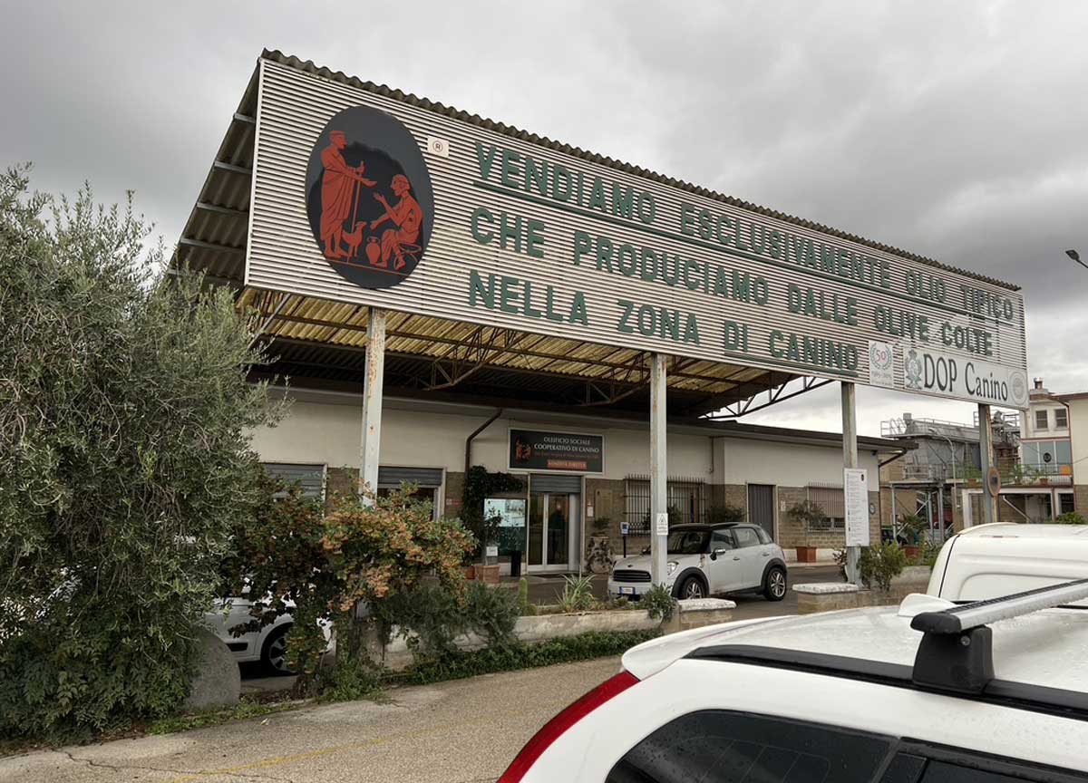 L'oleificio sociale cooperativo di Canino L'oleificio sociale cooperativo di Canino
