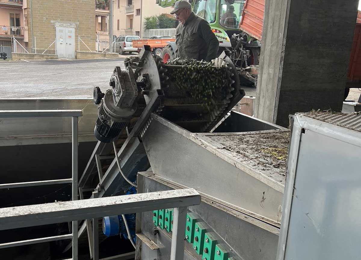 Lo scarico delle olive nel frantoio Lo scarico delle olive nel frantoio