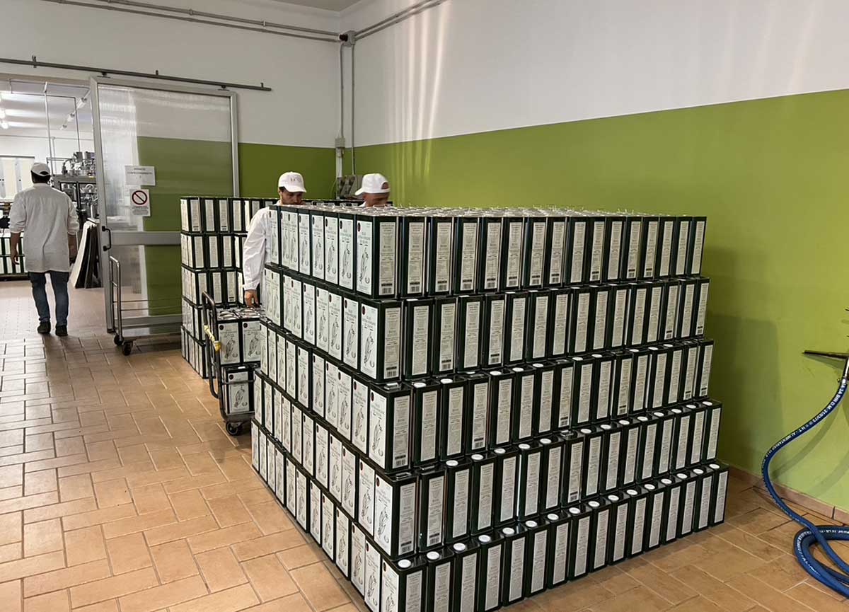 Le lattine dell'Olio di Canino Le lattine dell'Olio di Canino