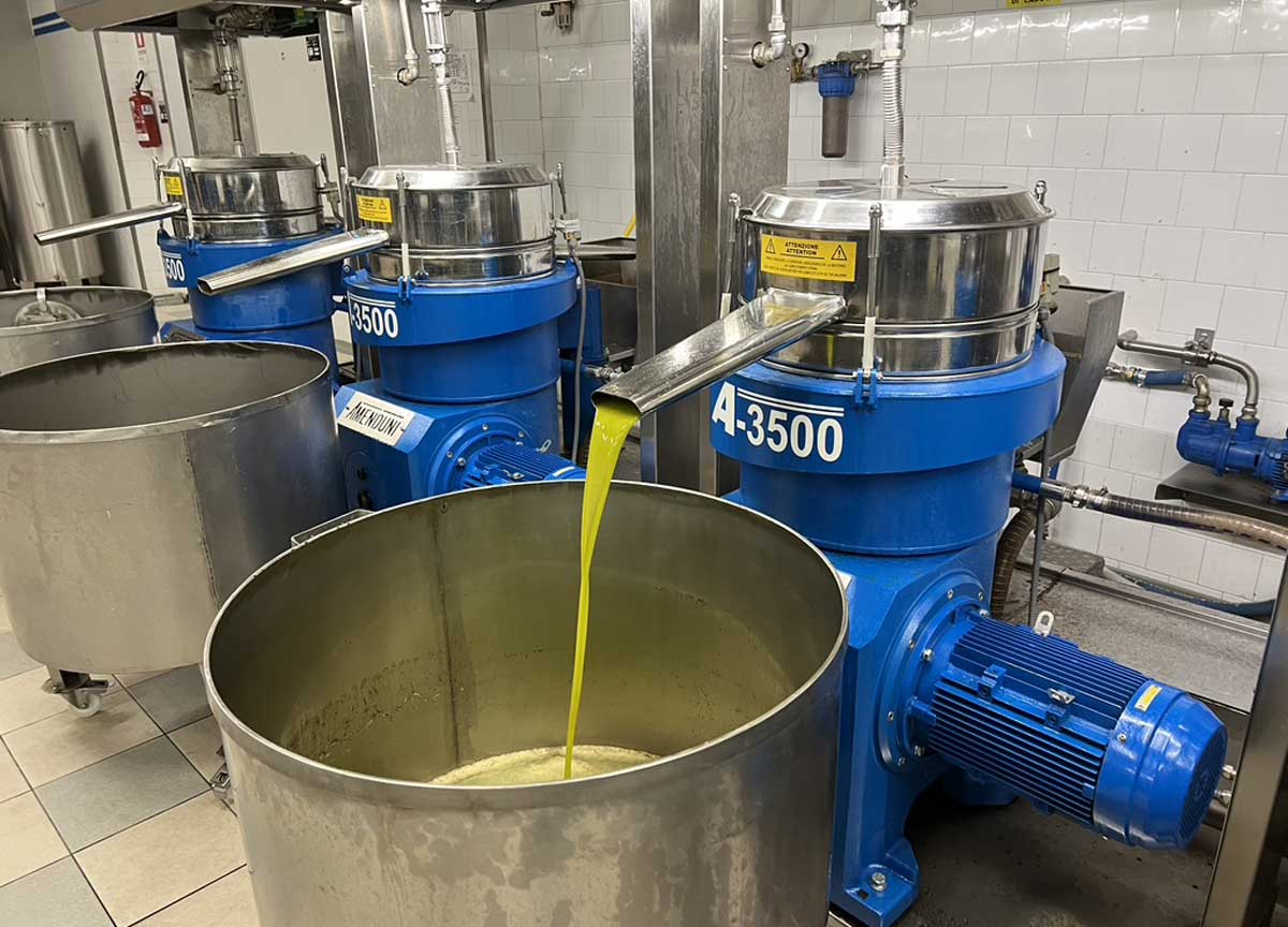 L'olio appena uscito dalla linea di premitura L'olio appena uscito dalla linea di premitura