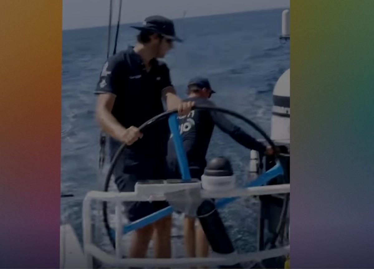 Gibilterra, l'attacco impressionante di un'orca a due imbarcazioni a vela