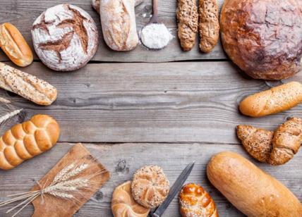 Roma, fino al 17 giugno la festa del pane fresco: pane e olio contro i tumori